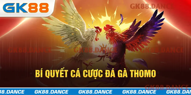 Bí quyết tham gia cá cược đá gà Thomo