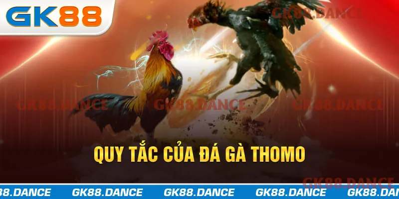 Quy tắc cần biết của đá gà Thomo