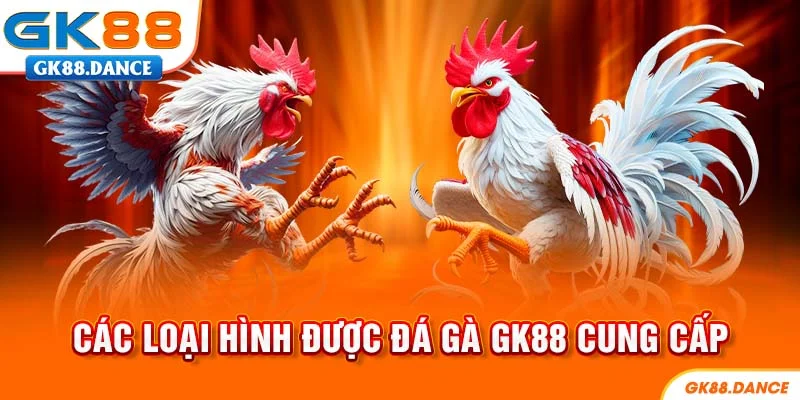 Các loại hình cá cược đá gà GK88