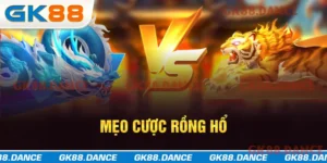 Mẹo cược Rồng Hổ